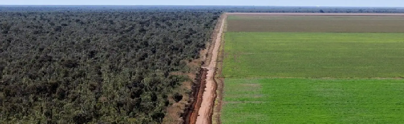 Comissão do Senado Avalia Ampliação de Prazo para Registro de Imóveis Rurais em Faixa de Fronteira